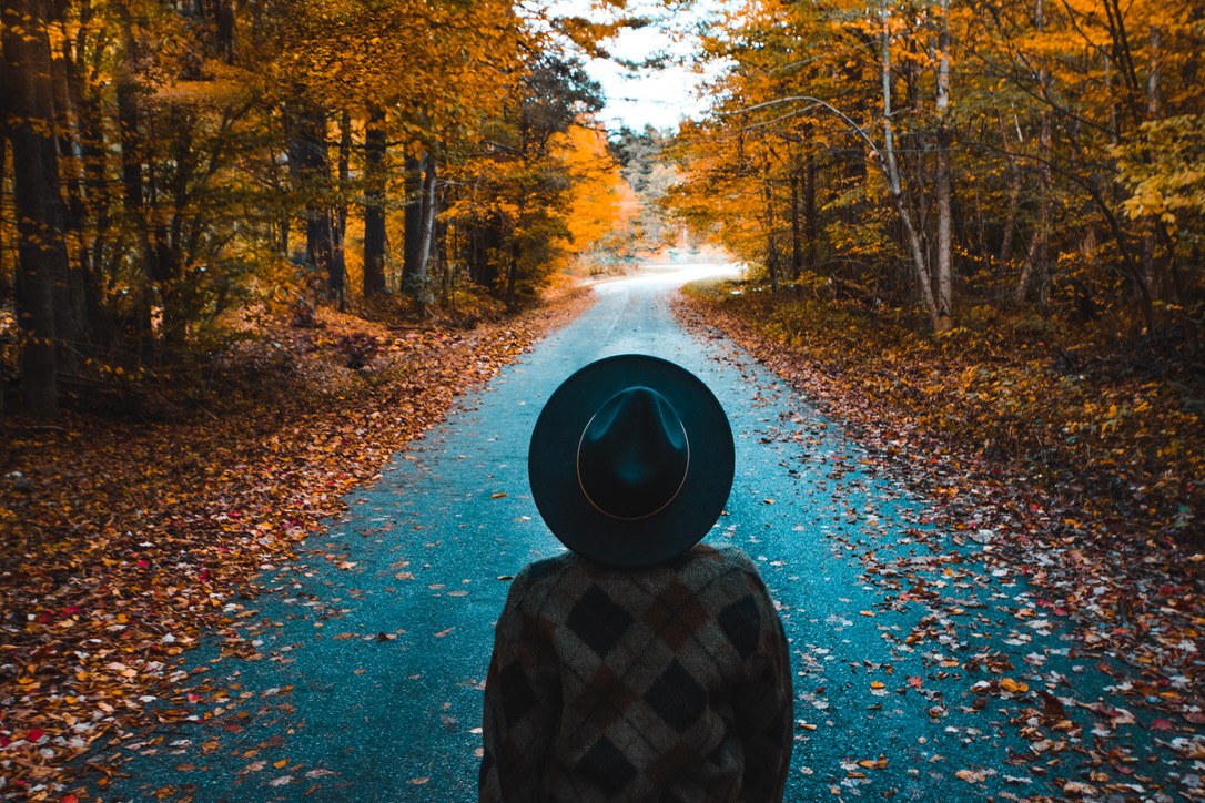 Person in a wide-brimmed hat standing on an autumn road lined with orange trees
