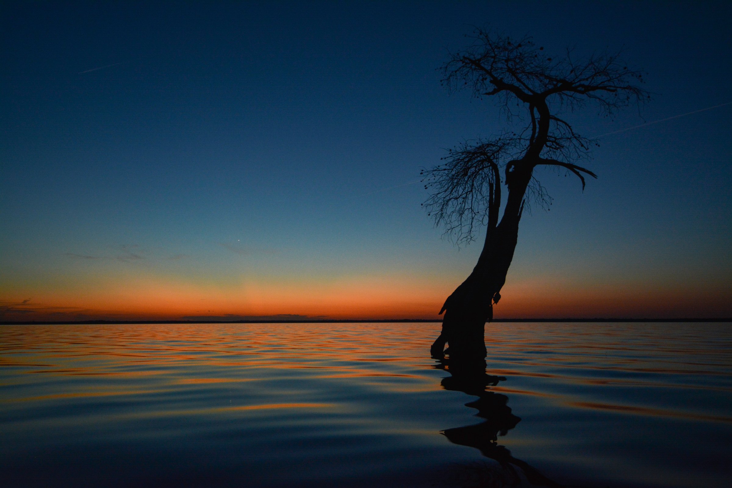 Lake Drummond