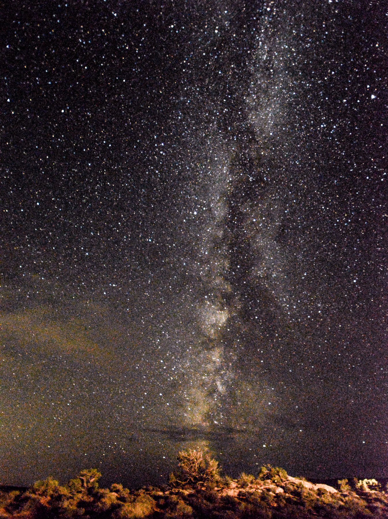 Milky Way rising straight up from a low line of desert scrub